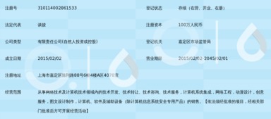 上海游英网络科技有限公司 立足上海，深耕数字技术服务